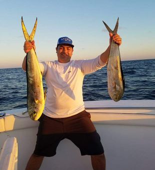 Two Mahi Mahi in Fort Lauderdale, FL 